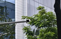 Bất ngờ bị camera AI phạt nguội lỗi xe máy không có gương chiếu hậu
