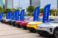 Nước đi của tài xế dịch vụ khi chọn Limo Green