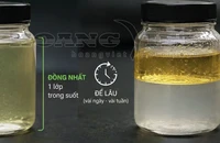 Dùng thiết bị chống tách lớp xăng E10 có hiệu quả?