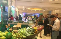 Lý do doanh nghiêp trẻ khởi nghiệp ngắc ngoải