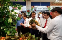 Lý do vải Lục Ngạn được bảo hộ chỉ dẫn địa lý tại Nhật 