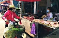 Malaysia cần 2,2 triệu con gà/ngày, Việt Nam không nên bỏ qua