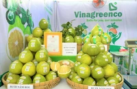 Kỳ vọng đưa nông sản, trái cây đạt chứng nhận OCOP ra thế giới