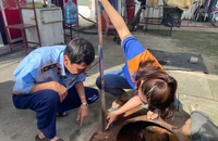 Đội QLTT số 14-Cục QLTT TP.HCM đo bồn bể tại cửa hàng xăng dầu quận Tân Phú