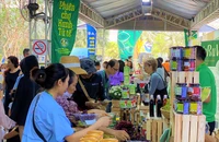Bún dưa hấu, bánh tráng thanh long... hút khách tại Lễ hội Tết Xanh quà Việt