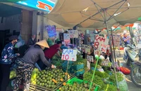 Giá cam sành có nơi rớt thảm chỉ còn 1.500 đồng/kg 