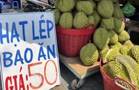 Sầu riêng làm sẵn giá 600.000 đồng/hộp ba múi