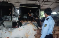 TP.HCM tiêu hủy hàng giả, không nguồn gốc xuất xứ trị giá gần 1,7 tỉ đồng