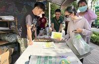 Năm 2022 doanh số ngành bao bì Việt Nam đạt gần 15 tỉ USD