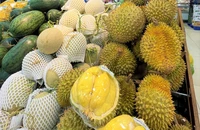 Nửa cuối tháng 5, xuất khẩu rau quả thu về 422 triệu USD chủ yếu nhờ sầu riêng