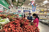 Người tiêu dùng chọn mua vải thiều tại siêu thị. 
