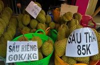Giá sầu riêng Thái Lan và Việt Nam tại một điểm bán. ẢNH: TÚ UYÊN