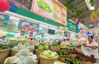 Nguồn cung trái cây Việt Nam dồi dào. ẢNH: TÚ UYÊN