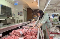 Thủ tướng yêu cầu 6 bộ ngăn chặn heo nhập lậu vào Việt Nam 
