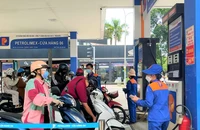 Cử tri TP.HCM kiến nghị xây dựng Trung tâm dự trữ xăng dầu quốc gia 