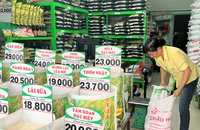 Các cửa hàng bán lẻ vắng khách mua gạo. ẢNH: TÚ UYÊN