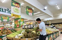 Chín tháng đầu năm 2023 xuất khẩu sầu riêng đạt hơn 1,5 tỉ USD, tăng 400% so với cả năm 2022. ẢNH: TÚ UYÊN