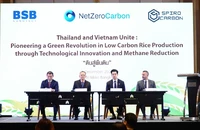 Việt Nam-Thái Lan hợp tác tiên phong sản xuất lúa, gạo 'xanh'