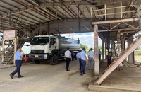Năm 2023 TP.HCM xử phạt hơn 1,1 tỉ đồng vi phạm trong kinh doanh xăng dầu 