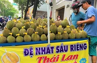 Sầu riêng Việt Nam đang 'thách thức' sầu riêng Thái Lan tại thị trường Trung Quốc
