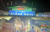 Cận tết chợ hoa sỉ tấp nập người mua bán