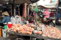 Thịt gà đông lạnh bày bán tại chợ. ẢNH: TÚ UYÊN