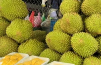 Lý do sầu riêng Việt lên ngôi số 1 tại Trung Quốc trong 2 tháng đầu năm