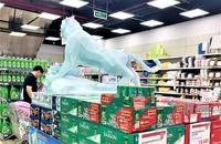 Kiến nghị giảm mức tăng thuế đặc biệt với bia rượu vì 'đã có nhà máy phải đóng cửa'