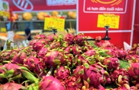 Thanh long Việt Nam bày bán tại siêu thị ở TP.HCM. Ảnh: TÚ UYÊN