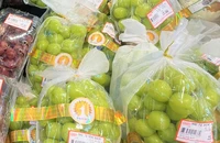 Mới 9 tháng, Việt Nam đã xuất khẩu rau quả sang Trung Quốc đạt 3,8 tỉ USD