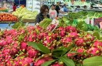 Vì sao thanh long Việt mất 'ngôi vương' ở châu Âu, Trung Quốc?