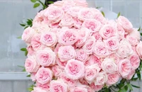'Choáng' với đơn hàng 100 hoa hồng ngày Valentine