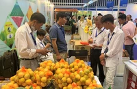 Nhiều siêu thị nước ngoài tìm mua nông sản, thực phẩm Việt 
