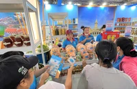 Vì sao ngành yến sào Việt vẫn xa giấc mơ tỉ đô?