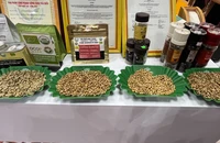 Cà phê Việt sẵn sàng đáp ứng các tiêu chuẩn xanh của Châu Âu