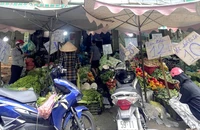 Doanh thu bán lẻ của TP.HCM đạt hơn 50.000 tỉ đồng mỗi tháng