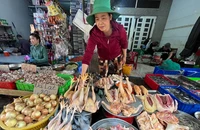Đề xuất gỡ vướng về hóa đơn điện tử cho tiểu thương, hộ kinh doanh nhỏ lẻ