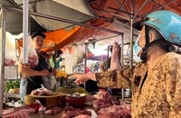 Sau thời gian dài tăng nóng, giá heo hơi đã quay đầu giảm 