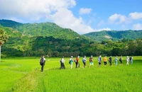 Đề xuất đưa tín chỉ carbon trong nông nghiệp lên sàn giao dịch 