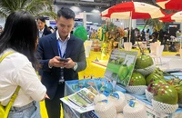 Xuất khẩu 2025: Thách thức chồng chất nhưng mục tiêu 451 tỉ USD vẫn khả thi