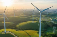 Bán tín chỉ carbon: 'Mỏ vàng' tỉ USD có nguy cơ bị bỏ phí?