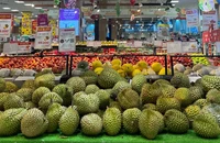 Xuất khẩu sầu riêng sang Trung Quốc: Việt Nam sắp 'soán ngôi' Thái Lan?