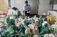 TP.HCM: Phát hiện hộ kinh doanh chứa hơn 18 tấn lòng bò, thịt bò không rõ nguồn gốc