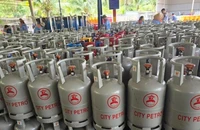 Nhà kinh doanh nỗ lực đảm bảo nguồn cung gas tại Việt Nam 