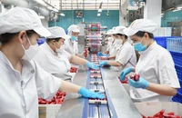 Lo Nghị định 46 có hiệu lực trở lại: VCCI kiến nghị chờ Luật An toàn thực phẩm sửa đổi được thông qua