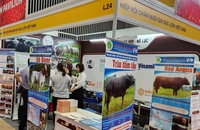 Dự kiến kim ngạch xuất khẩu sản phẩm chăn nuôi năm 2026 đạt 700-800 triệu USD
