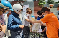 Đổi sách lấy cây thu hút bạn trẻ TP.HCM