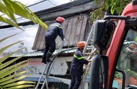 Cháy 3 căn nhà tại TP Thủ Đức giữa trưa