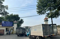 Khởi tố, bắt tạm giam 5 người tại Trung tâm Đăng kiểm 50-03V ở Thủ Đức