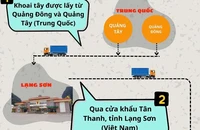 Infographic: Đường đi của khoai tây Trung Quốc thành nông sản Đà Lạt